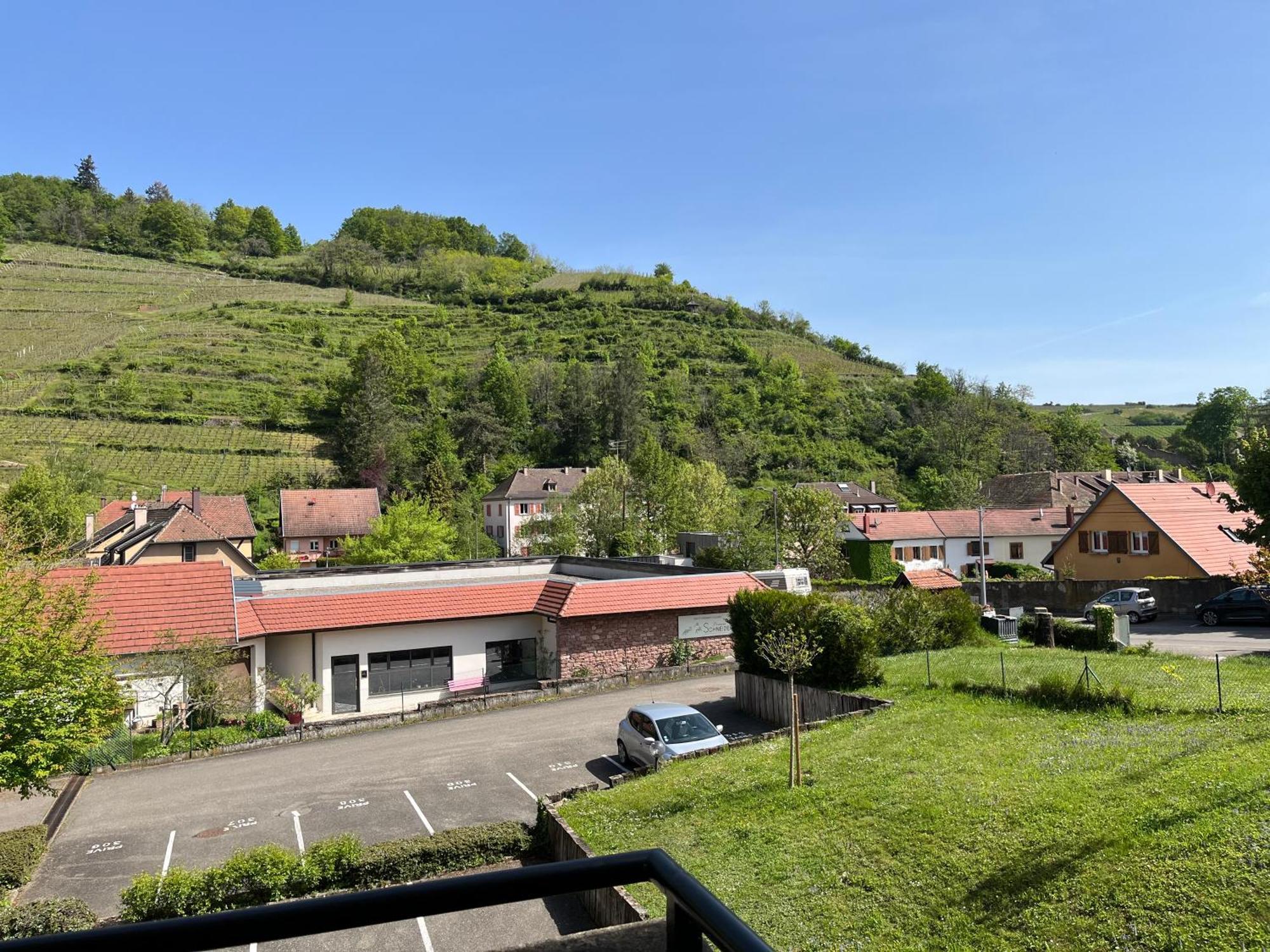 L'Aiglon Apartamento Ribeauvillé Exterior foto